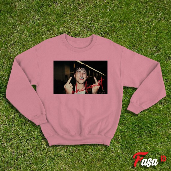 timothee chalamet merch hoodie