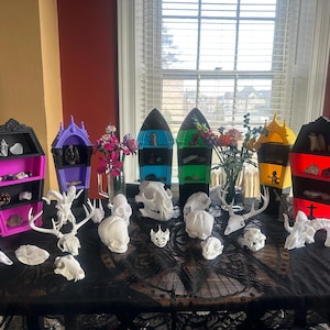 May include: A collection of decorative coffin-shaped shelves in various colors, including black, purple, blue, green, yellow, and red. The shelves display crystals and small objects. White animal skulls and antlers are arranged on a black lace tablecloth.