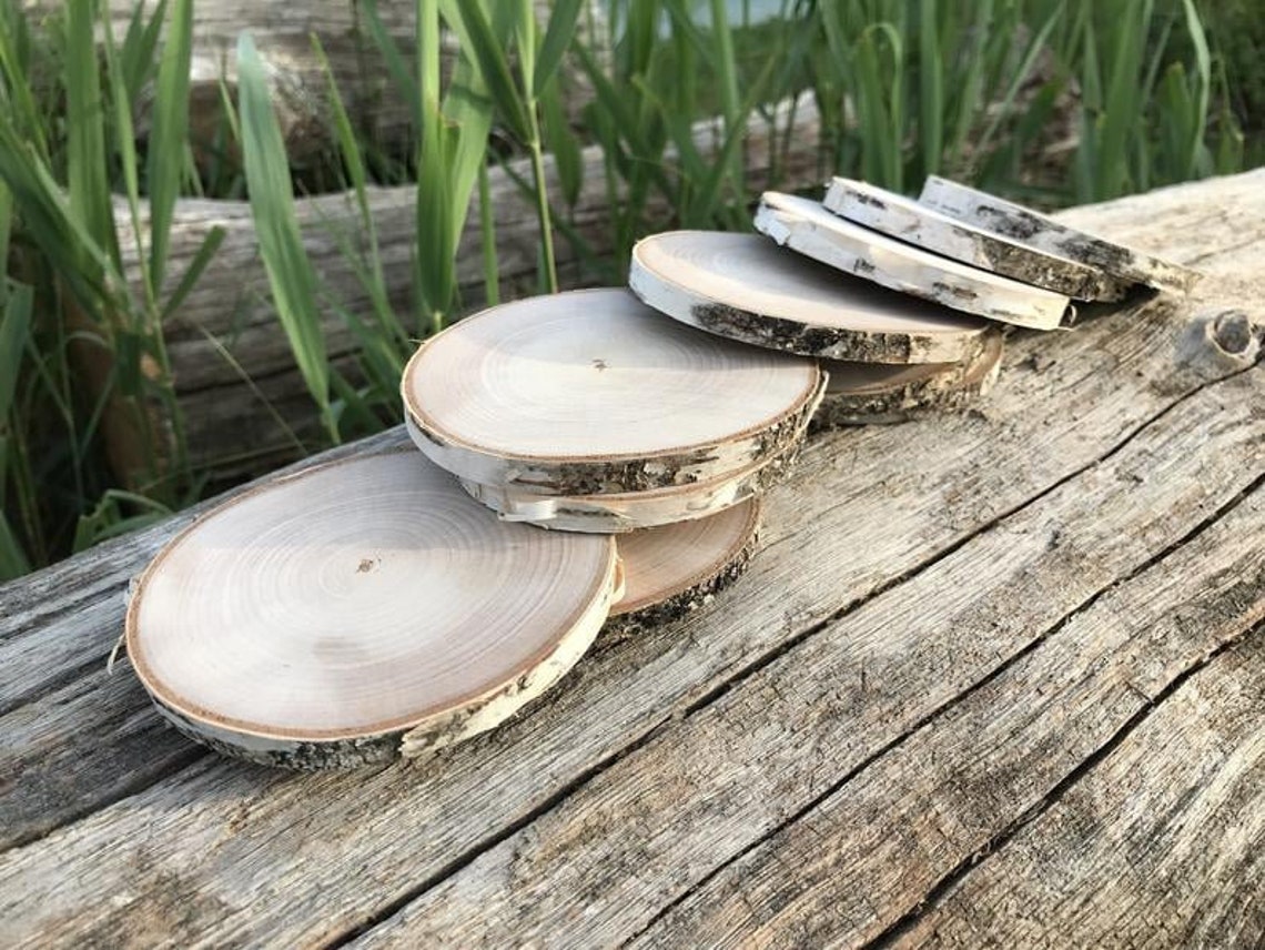 Birch Wood Coasters Set of 10 Natural Birch Wood Coasters Etsy