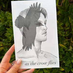 as the crow flies, comic