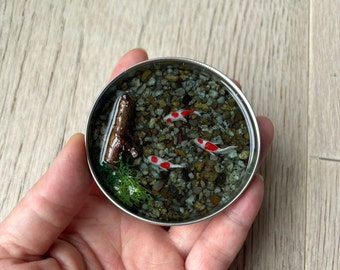 Miniature Koi pond - koi, rocks, wood and moss