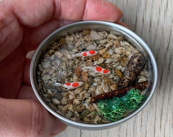 Miniature Koi pond - koi, rocks, wood and moss