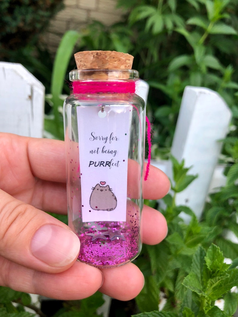 Apology Gift Message in a Bottle Unique Long Distance Gift Etsy