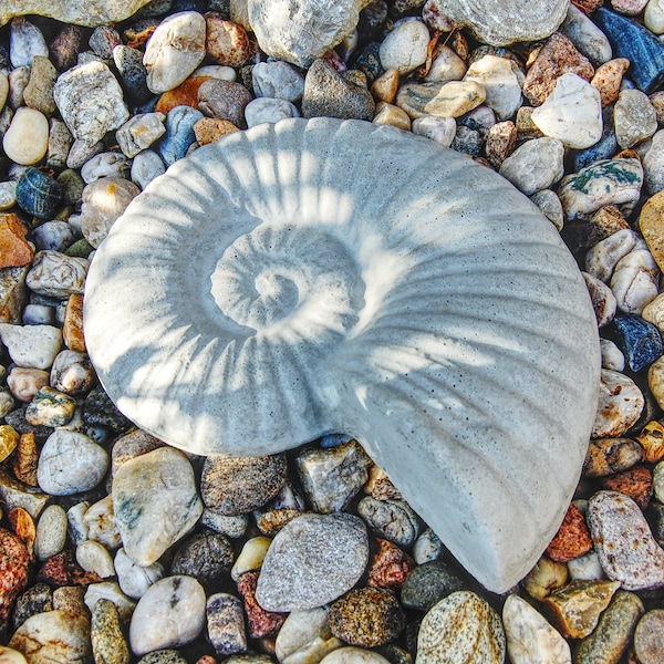 Beton-Figur Schnecke, Ammonit. Handgegossene Fossil-Replik als Dekoration.