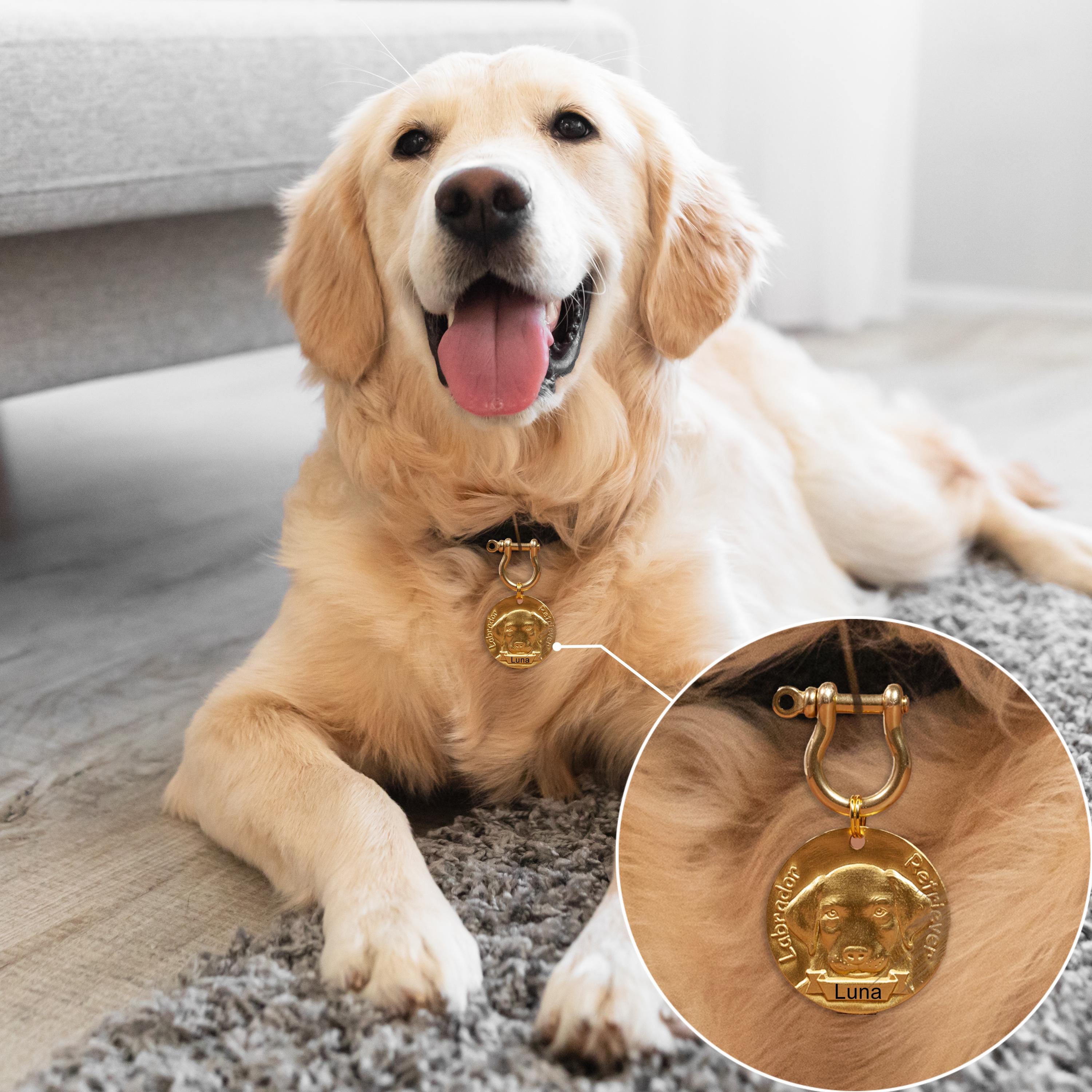 Leash Size Collar For Golden Retriever Puppy Large Chain Dog Leash