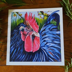 Carte blanche poulet 6 x 6 pouces - Orpington - The Groseille King