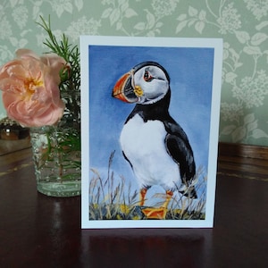 Scilly Puffin - cartão de felicitações
