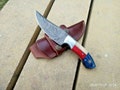 Handmade Knife Damascus Hunting Knives American Flag Knife 8" Inches for Groomsmen Gift Anniversary Gift Wedding Gift Personalized Gift product logo