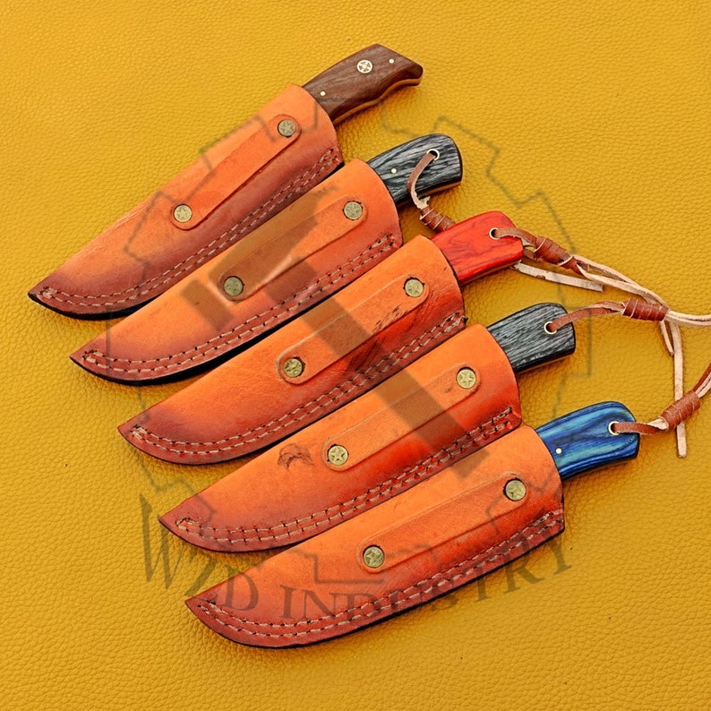 May include: Five leather sheaths with different colored handles for knives. The sheaths are brown leather with stitching and brass rivets.