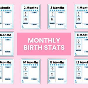 Estatísticas mensais de nascimento de bebês meninos EDITÁVEIS para impressão