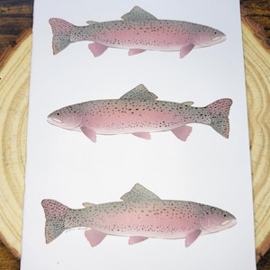 Carte pliée Truite arc-en-ciel