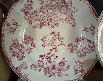 Antique French Ironstone Cabinet Plate Butterflies and Flowers 1800s