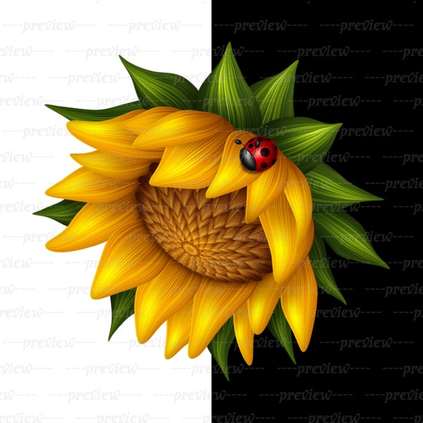 Instant Download, Digital File, PNG File Format, Digital Download, Sunflower, Ladybug, Ladybird, Floral Decoration, Ornament.