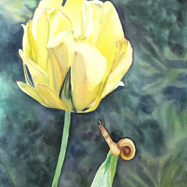 Aquarelle originale A3 - Tulipe et escargot