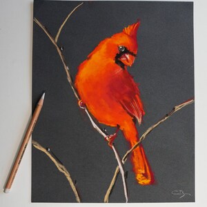 Pastel original Cardinal rouge image 2