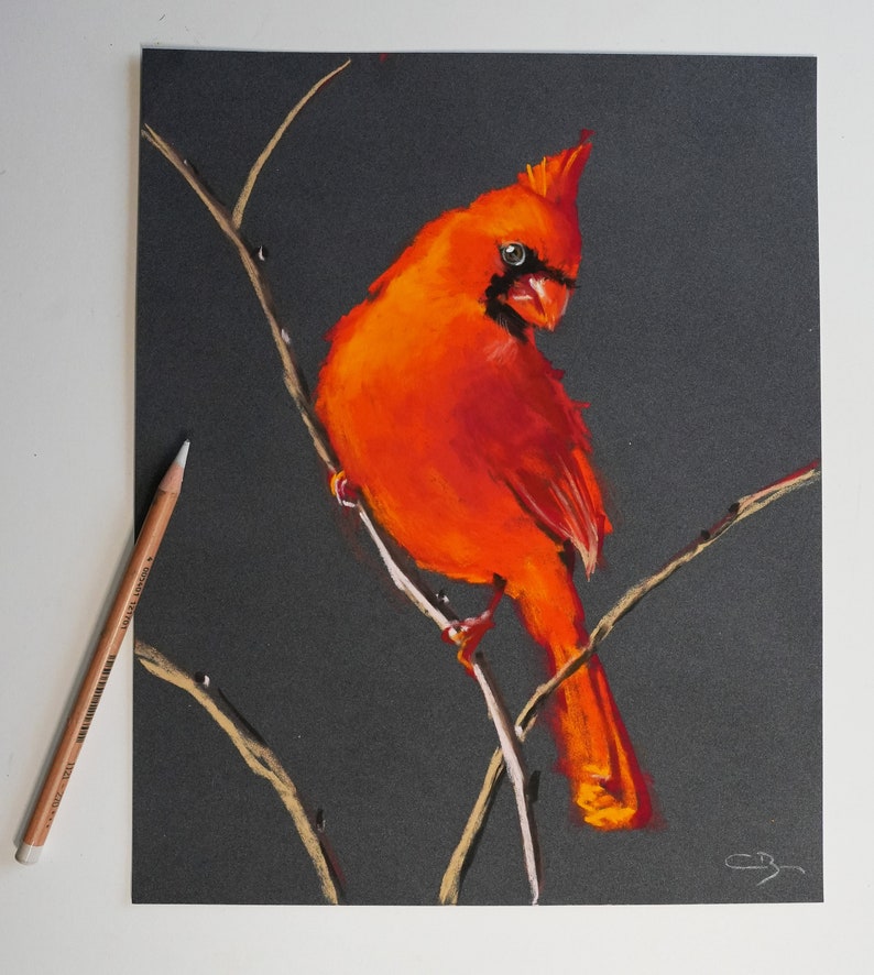 Pastel original Cardinal rouge image 2