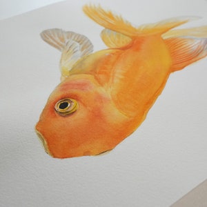 Original watercolor Goldfish image 3