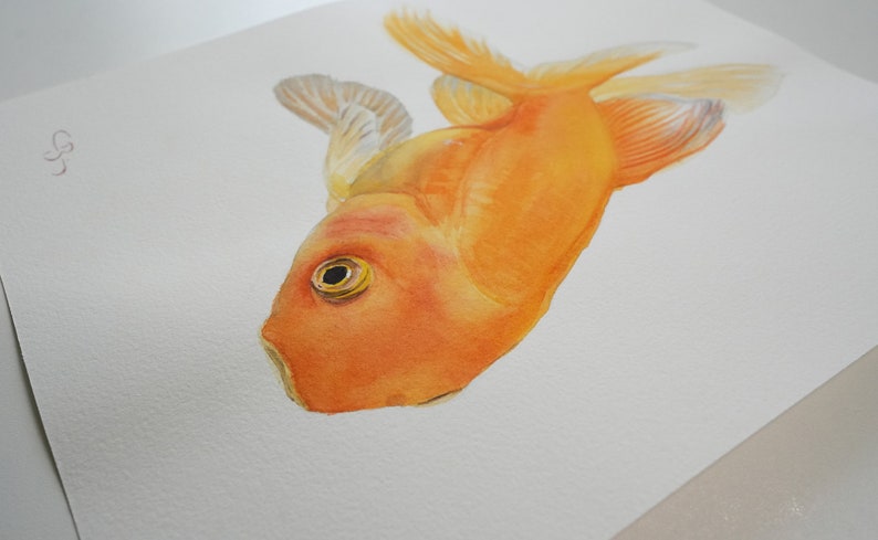 Original watercolor Goldfish image 3