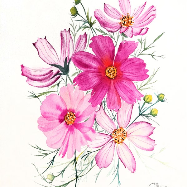 Bouquet de cosmos