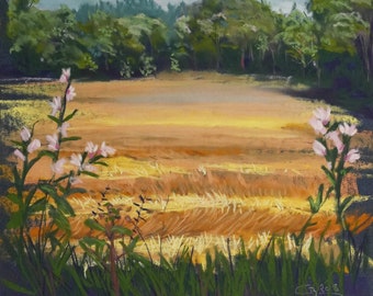 Pastel original - Blé fauché d'après nature