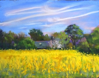 Pastel original - Champ de colza peint en plein air