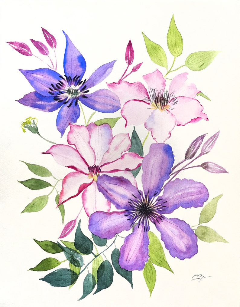 Aquarelle originale Bouquet de clématites image 1