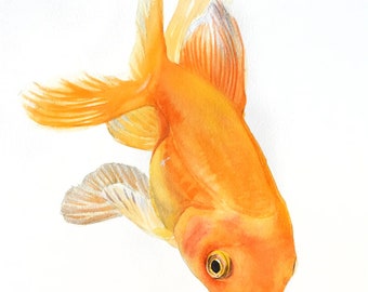 Original watercolor Goldfish