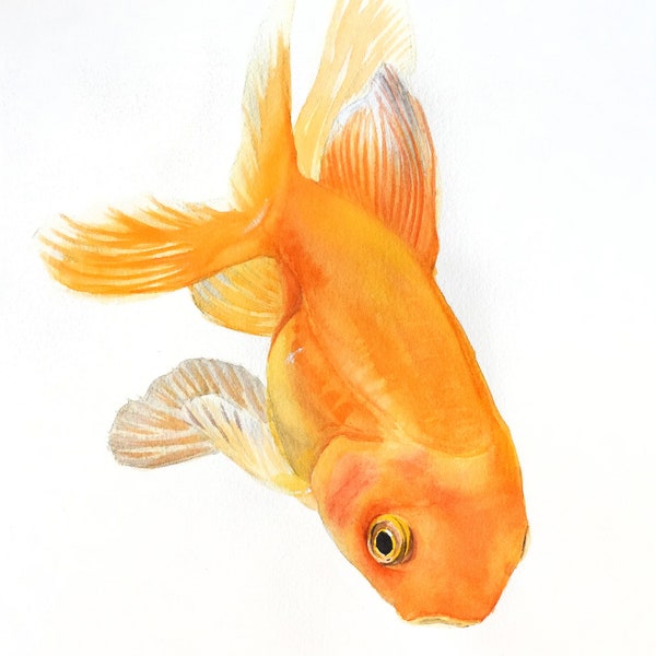 Aquarelle originale Poisson rouge