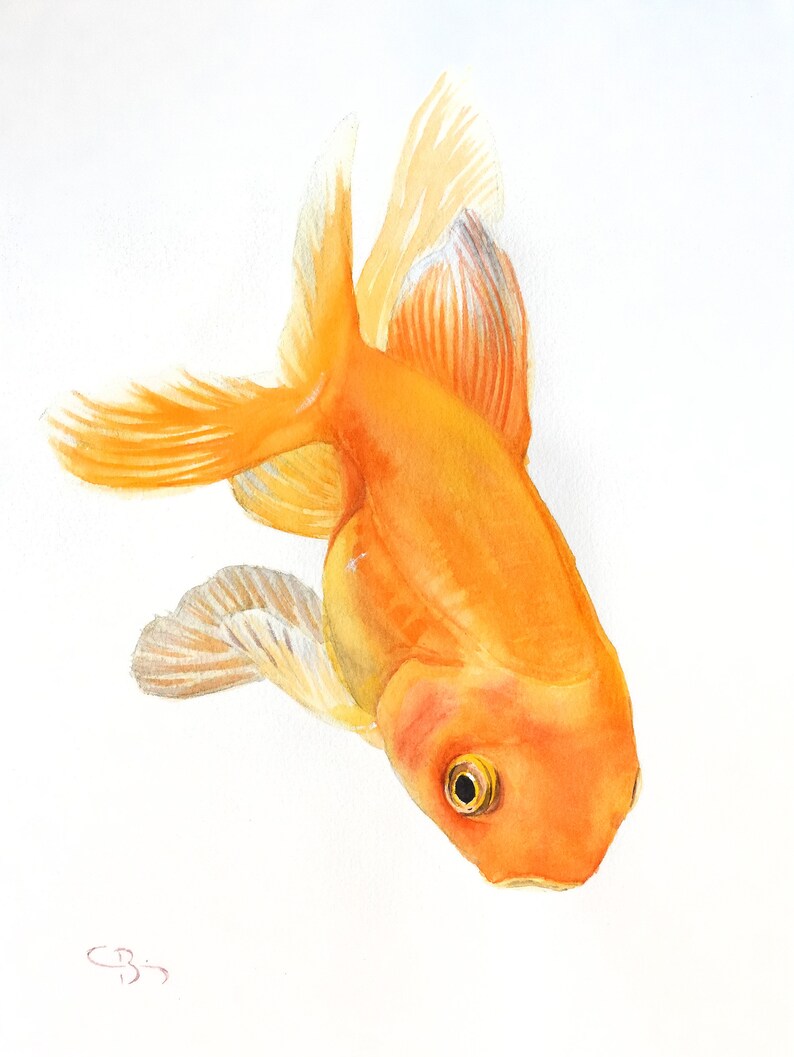Original watercolor Goldfish image 1