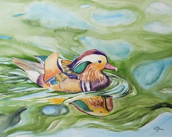 Aquarelle originale A3 - Canard mandarin