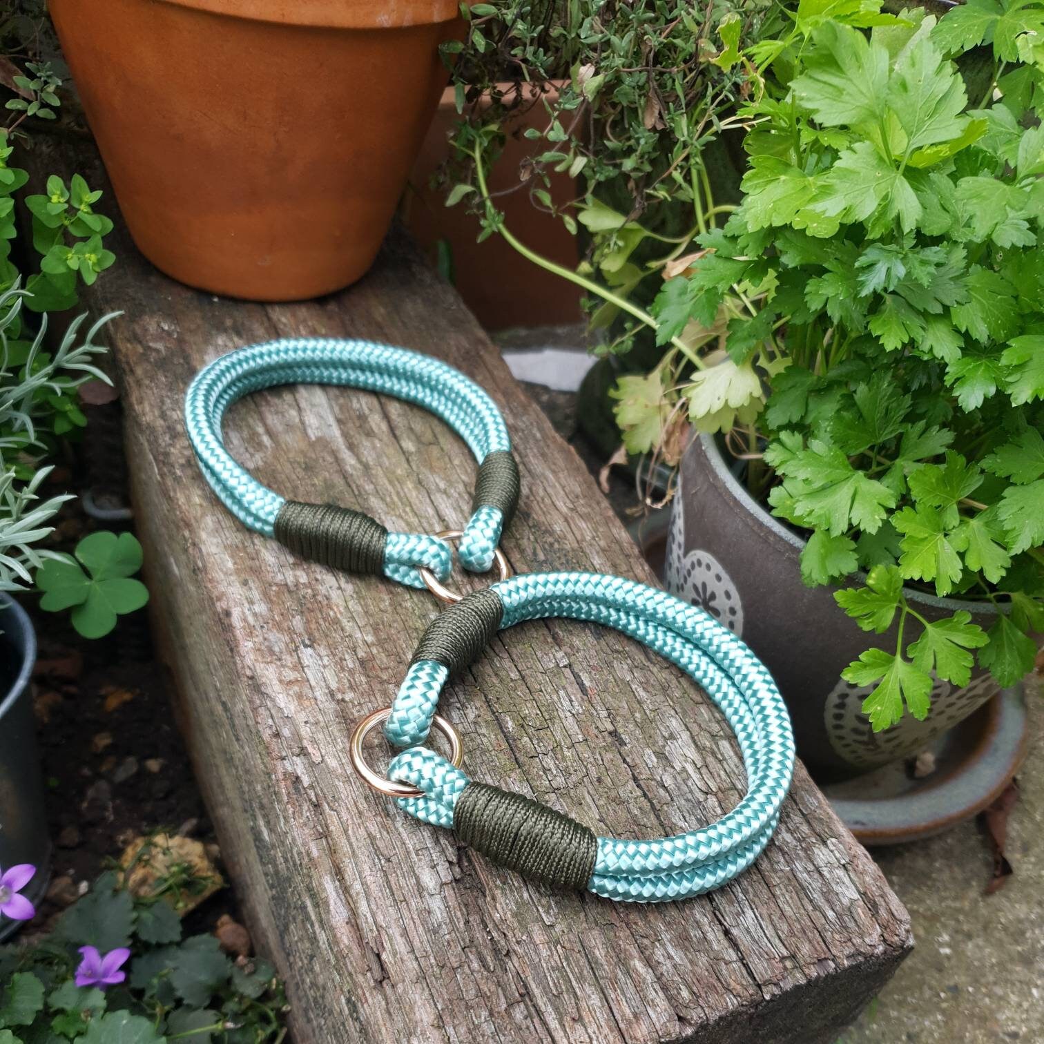 Double Band Dog Collar ID Collar Rope Collar Customise Etsy