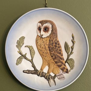 Vintage Goebel Owl Plate Wall Hanging Art West Germany Lover Antiques and Vintage