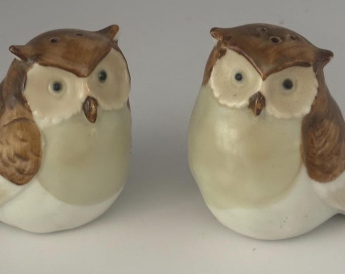 Owl Salt & Pepper Shaker Set, Vintage Home Decor, Lover Antiques and Vintage