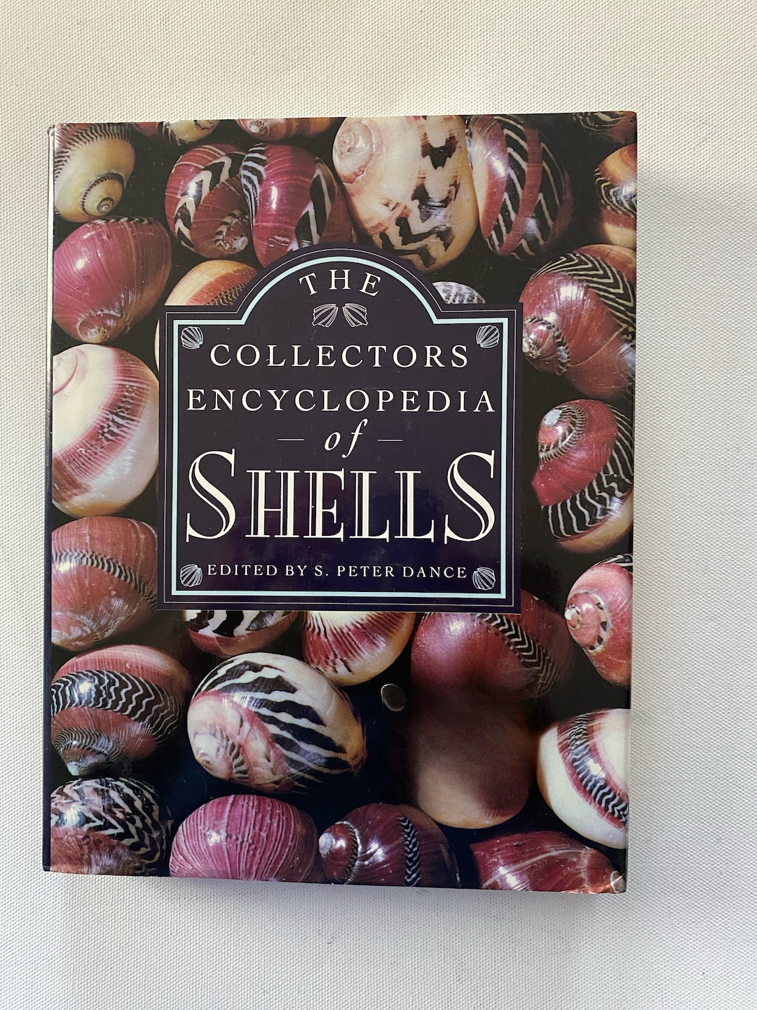 Dk Shells Book The Collector’s Encyclopedia of Shells Book, by S. Peter Dance, Lover ...