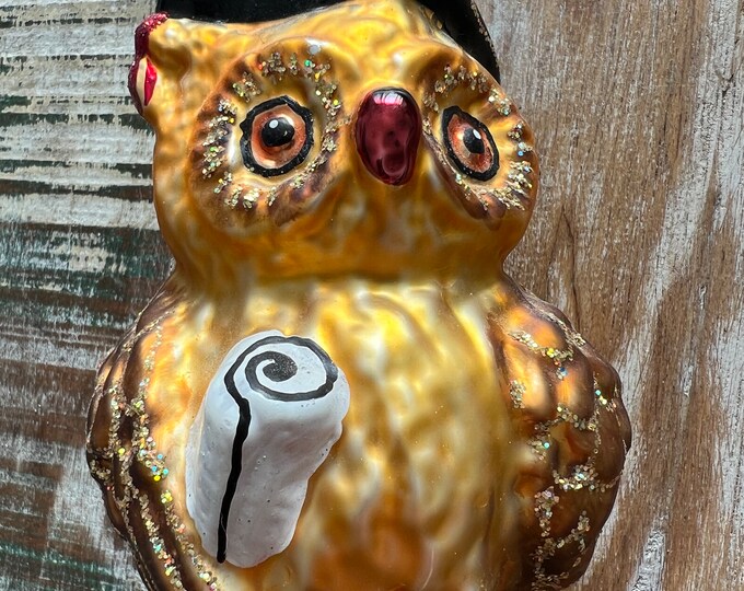 Vintage Owl With Diploma, Made in Poland, Owl Ornament, Graduate Class Owl, Christmas Holiday Retired Ornaments, Lover Antiques and Vintage