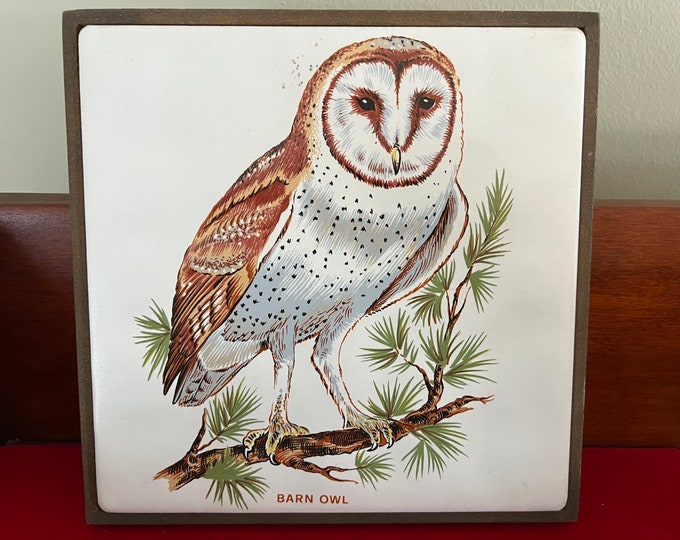 Vintage Barn Owl Tile on Wood Wall Hanging, Plaque Owl With Hook, Lover Antiques and Vintage