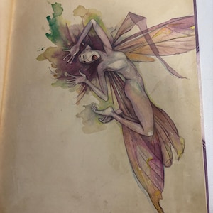 Lady Cottington&#39;s Pressed Fairy Book: Brian Froud Illustrations, Vintage Fairy Guide