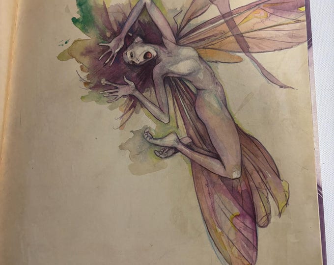 Lady Cottington's Pressed Fairy Book: Brian Froud Illustrations, Vintage Fairy Guide