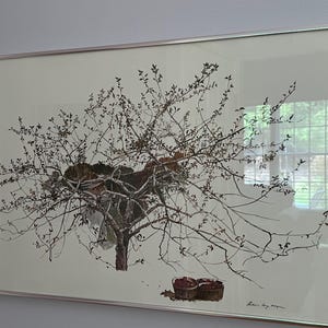 Andrew Wyeth Rare 1977 “After Picking” Collector Large Fine Art Lithograph Print Lover Antiques and Vintage