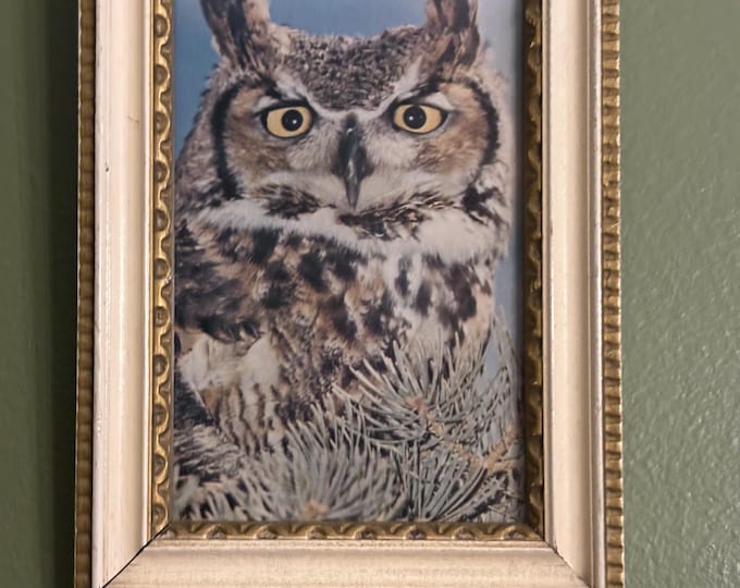 Vintage Owl Wall Hanging Lover Antiques and Vintage