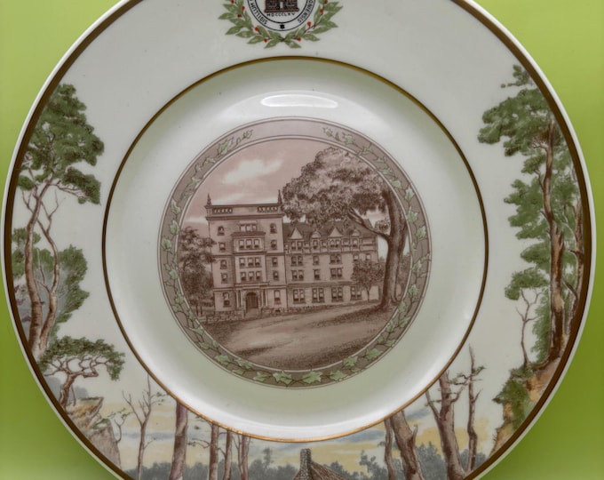 Vintage Washington and Jefferson College Plate Historical Plates Lover Antiques