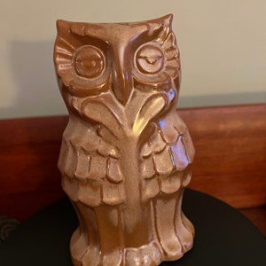 May include: A brown ceramic owl figurine with detailed features, including large eyes and feathery wings.