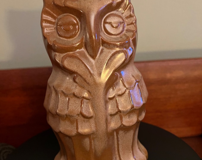 Vintage Frankoma Owl Pottery Bank, Frankoma Pottery Owl, Sand Brown Owl Bank by Frankoma, Lover Antiques and Vintage