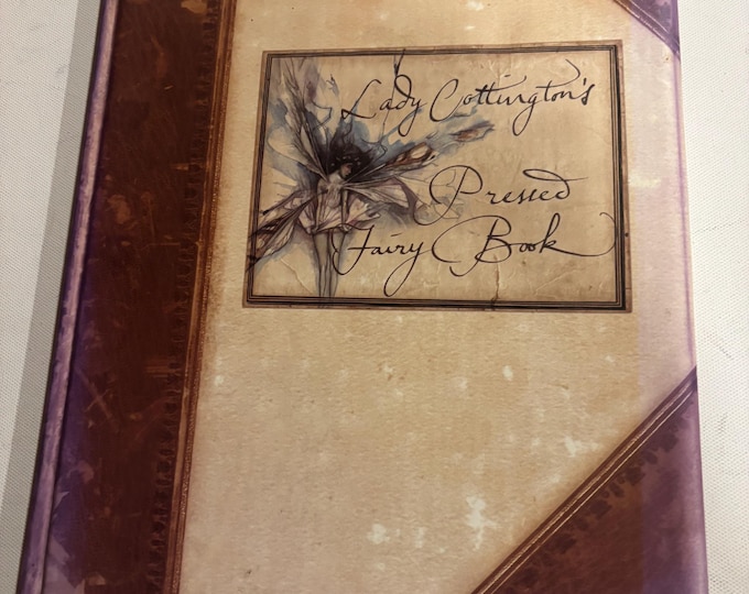 Lady Cottington's Pressed Fairy Book by Terry Jones Lover Antiques and Vintage