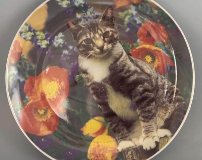Vintage Tabby Cat Collection Plate Lover Antiques and Vintage