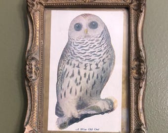 Vintage Owl Wall Hanging Lover Antiques and Vintage