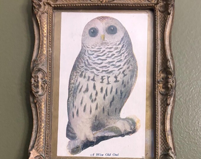 Vintage Owl Wall Hanging Lover Antiques and Vintage