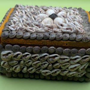 Vintage Seashell Jewelry Box Trinket Box Lover Antiques and Vintage