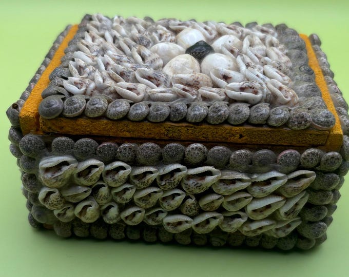 Vintage Seashell Jewelry Box Trinket Box Lover Antiques and Vintage