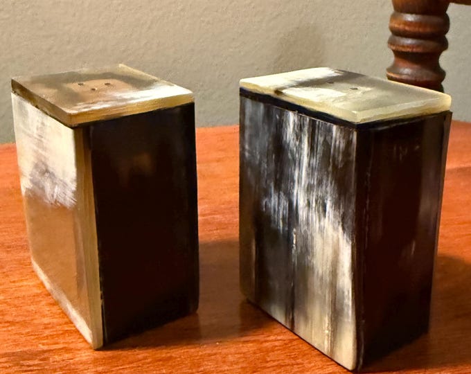 Vintage Salt and Pepper Shakers Made of Shell Never Used Lover Antiques